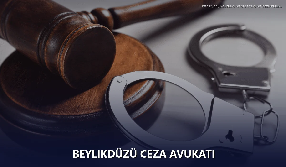Beylikdüzü Ceza Avukatı